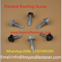 Painted Screw Color Screw Bolts Fastener